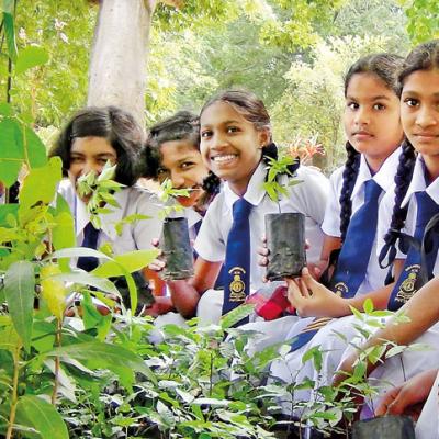  අපේ පාසල 